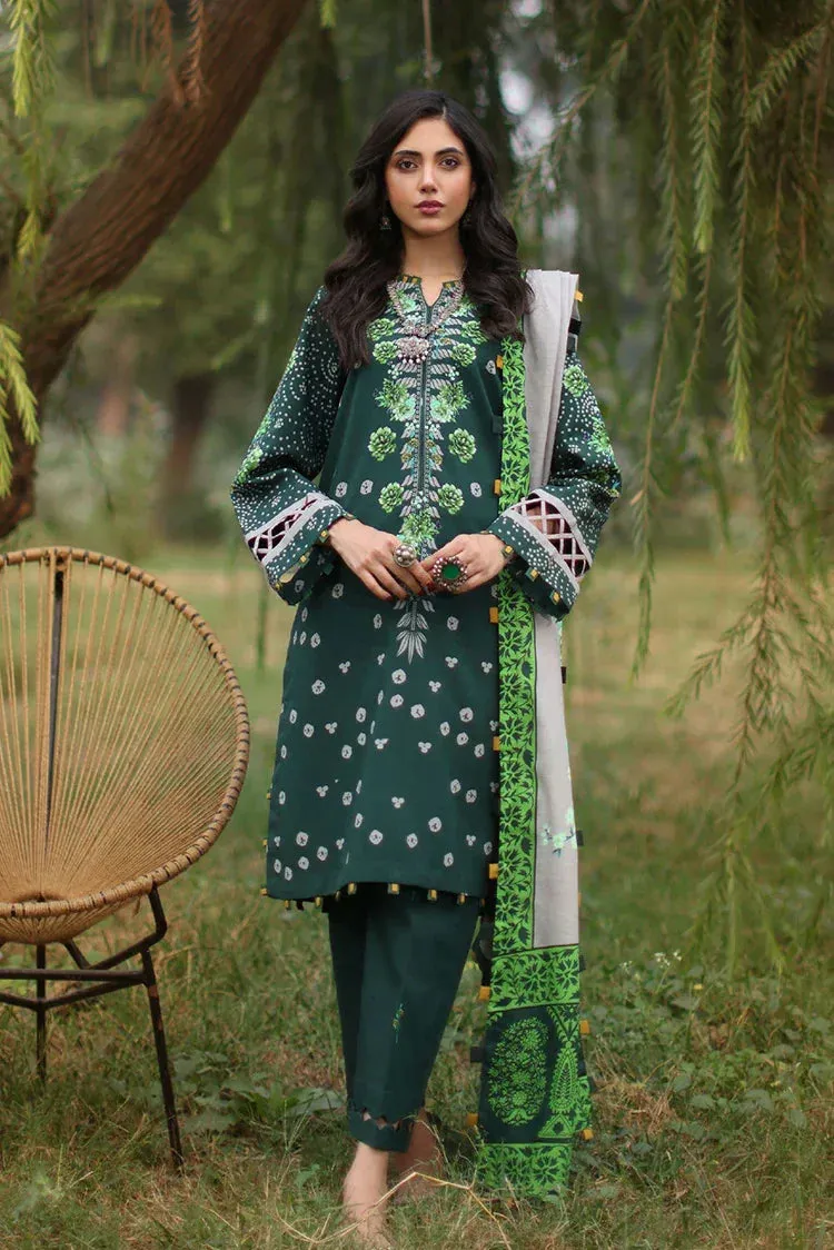 Charizma - C Prints Printed Khaddar Collection Vol 2 - CPW4-14 - Unstitched