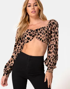 Mirae Top in Flintstone